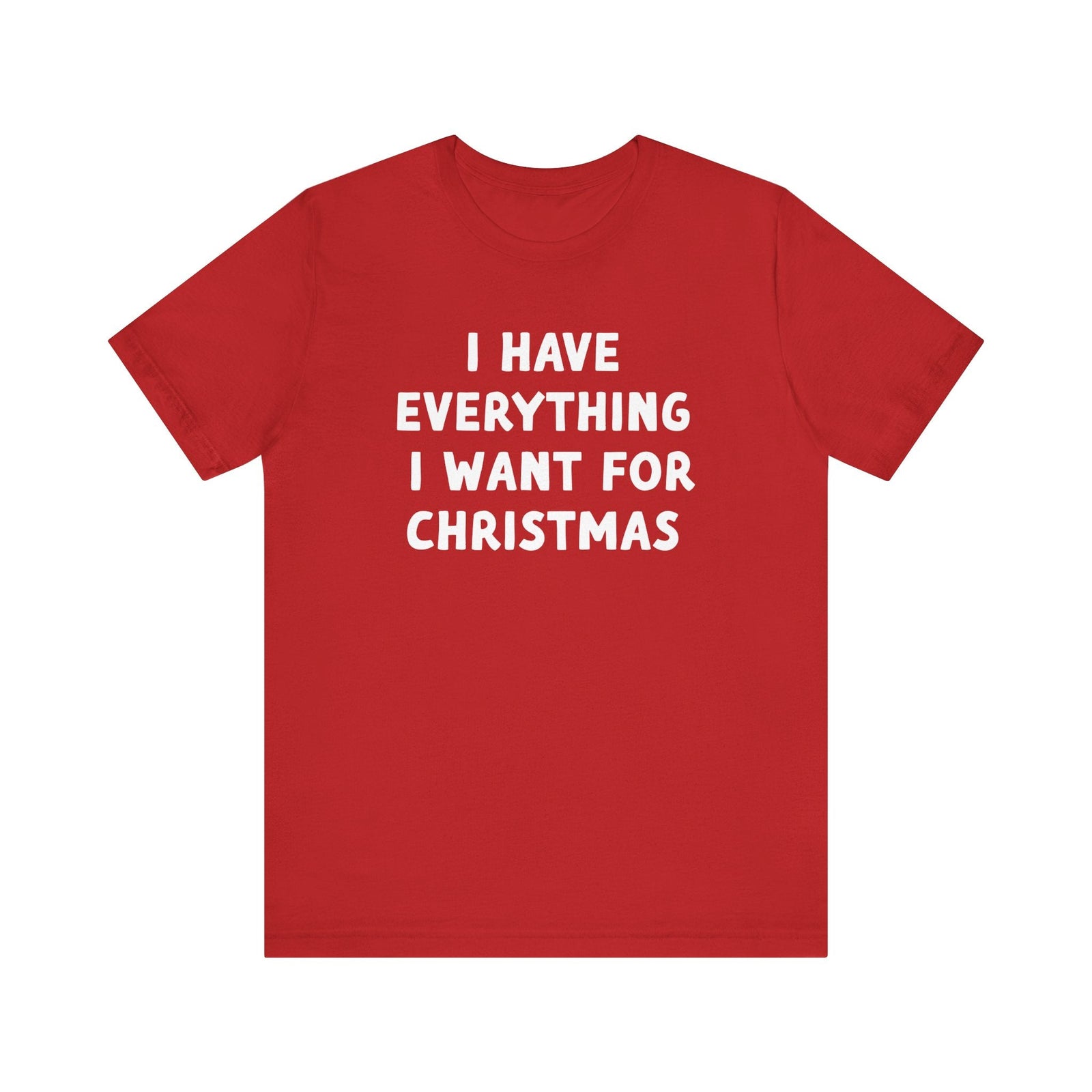 I Have Everything I want for Christmas Tee