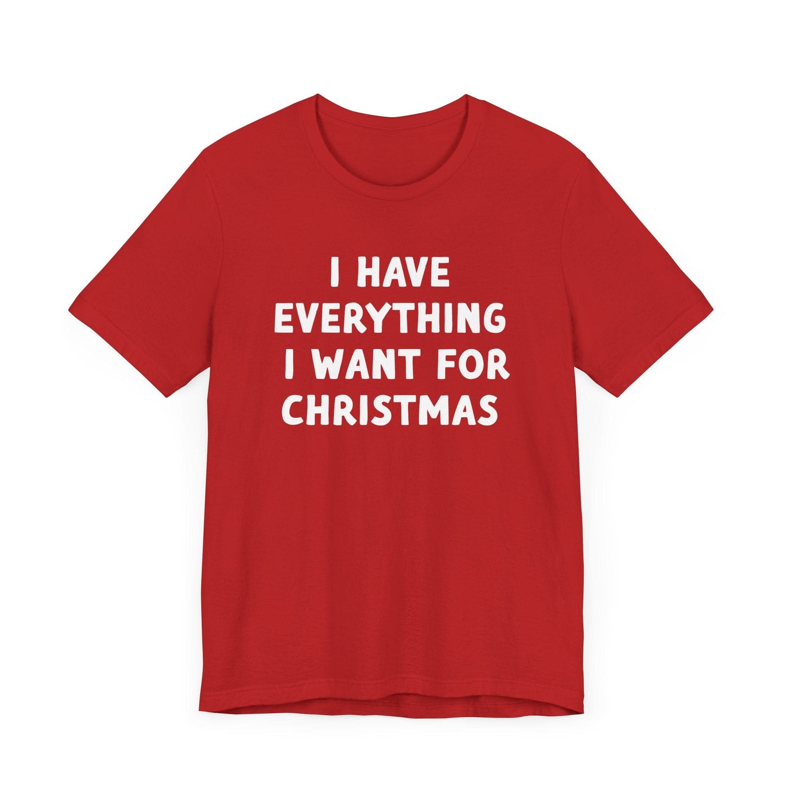 I Have Everything I want for Christmas Tee