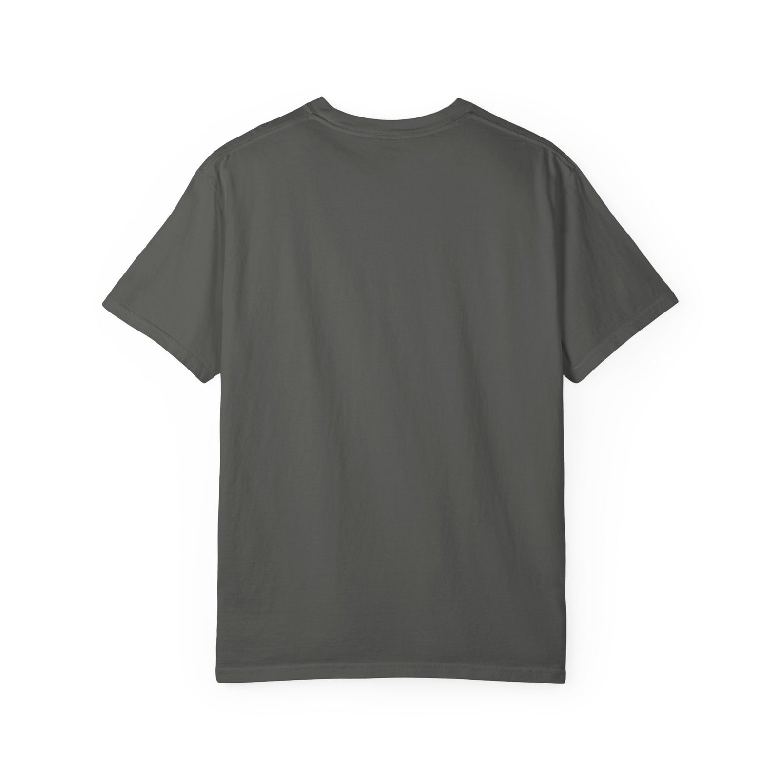 Land of the Free 1776-2026 | Semiquincentennial Comfort Colors® Tee