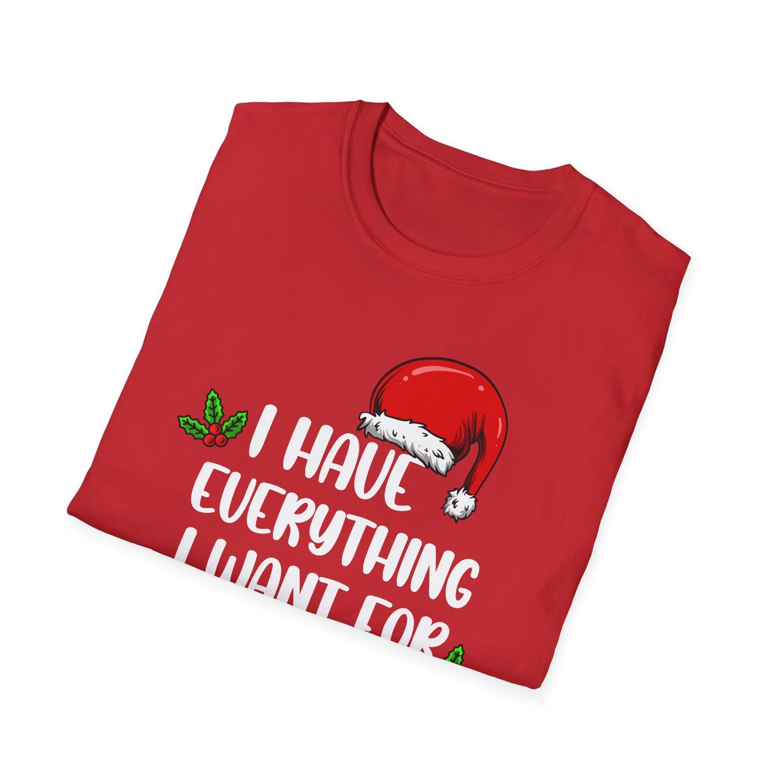 I Have Everything I want For Christmas | Deluxe Unisex Tee