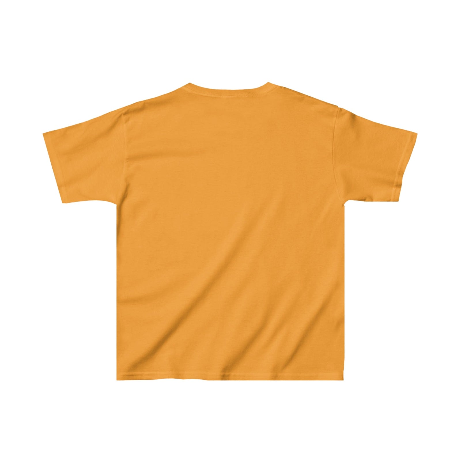 Ain't No Lil Sis Like The One I Got Kids Heavy Cotton™ Tee