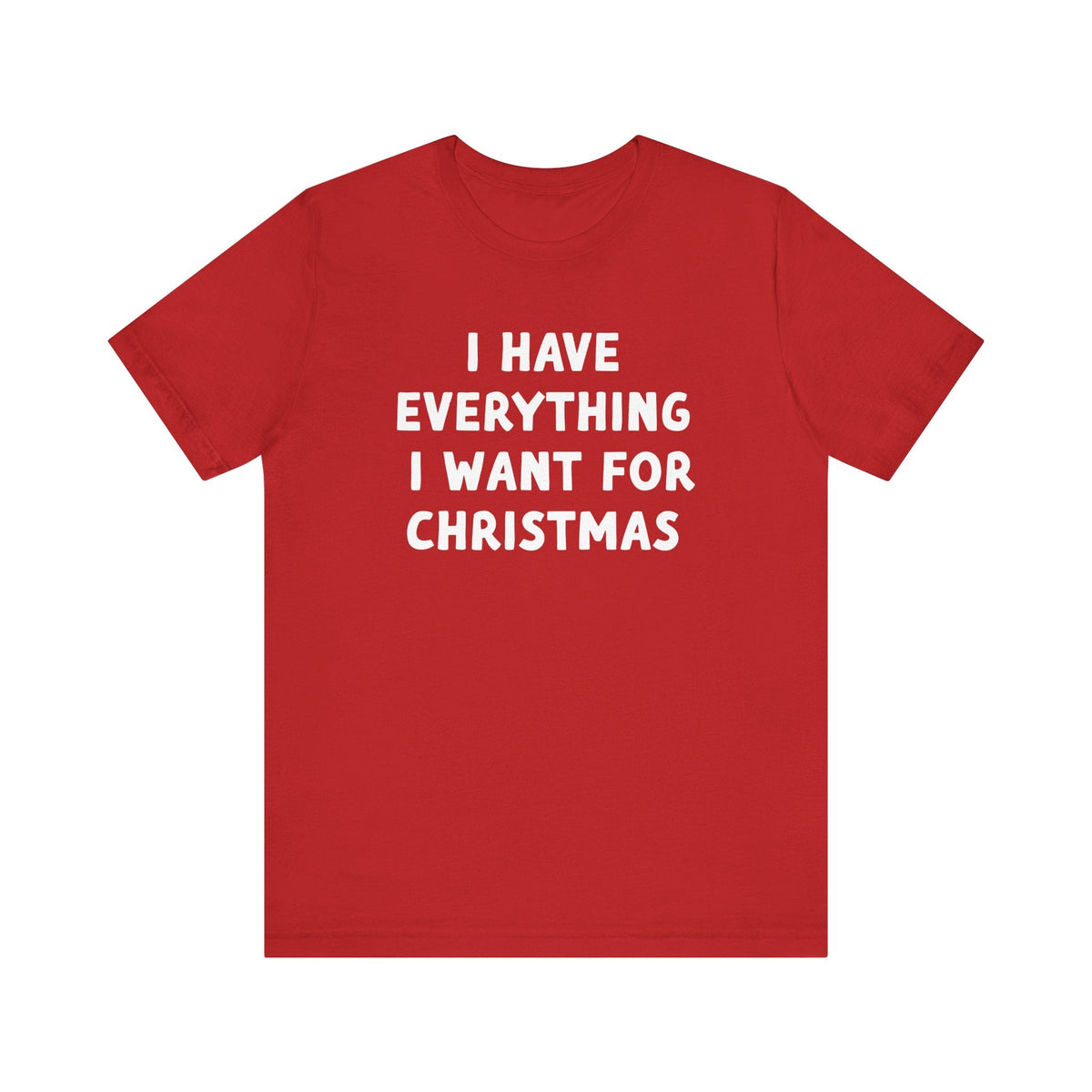 I Have Everything I want for Christmas Tee