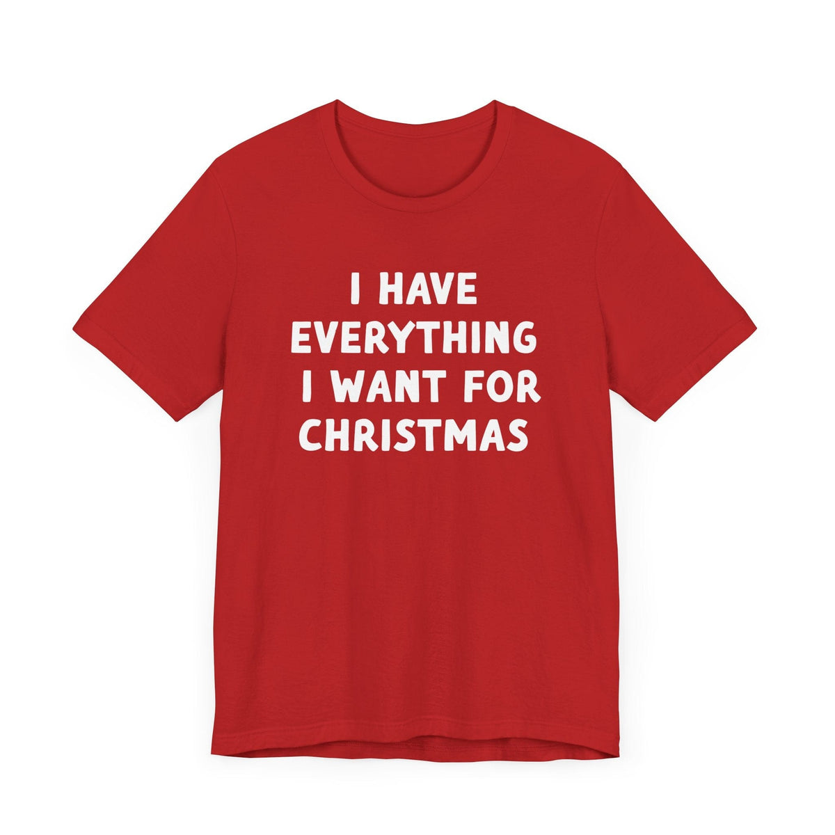 I Have Everything I want for Christmas Tee